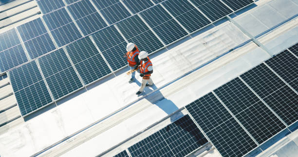 Best Roof Moss and Algae Removal  in Moraine, OH